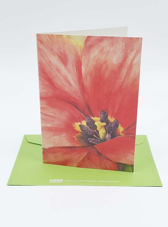 Wenskaart grote tulp