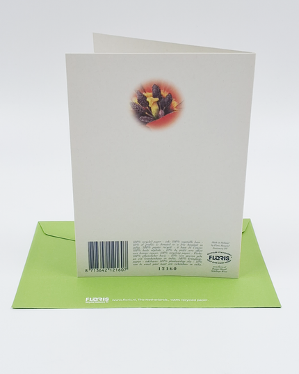 Wenskaart grote tulp