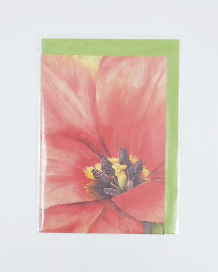 Wenskaart grote tulp