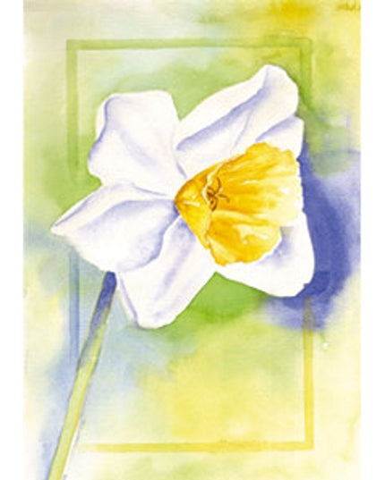 Wenskaart een narcis