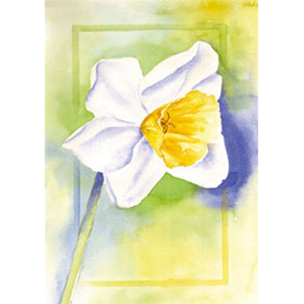 Wenskaart een narcis