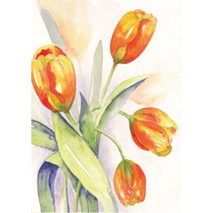 Wenskaart oranje tulpen