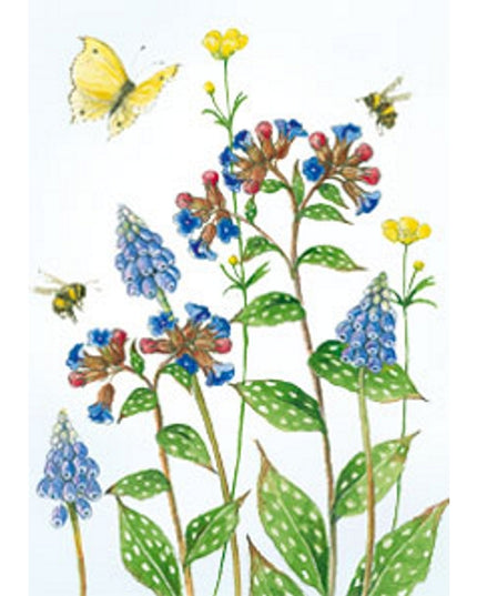 Wenskaart blauwe druifjes longkruid vlinder