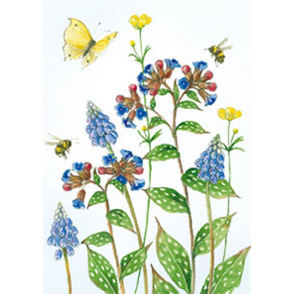 Wenskaart blauwe druifjes longkruid vlinder