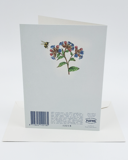 Wenskaart blauwe druifjes longkruid vlinder