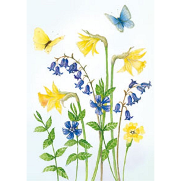 Wenskaart narcissen boshyacinten vlinders