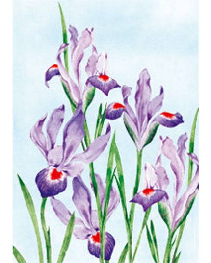 Wenskaart paars rode lissen