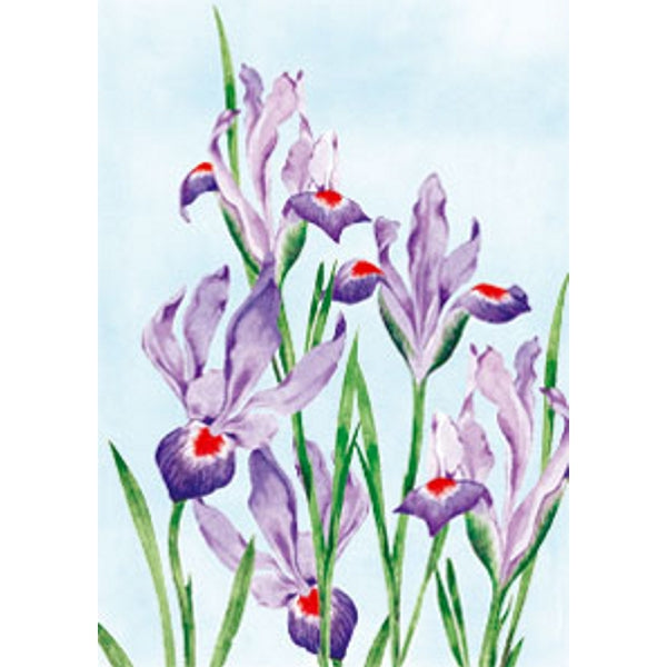 Wenskaart paars rode lissen