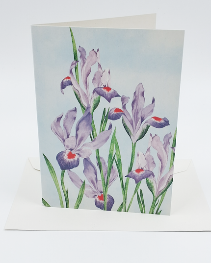 Wenskaart paars rode lissen