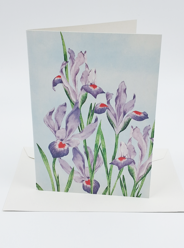 Wenskaart paars rode lissen