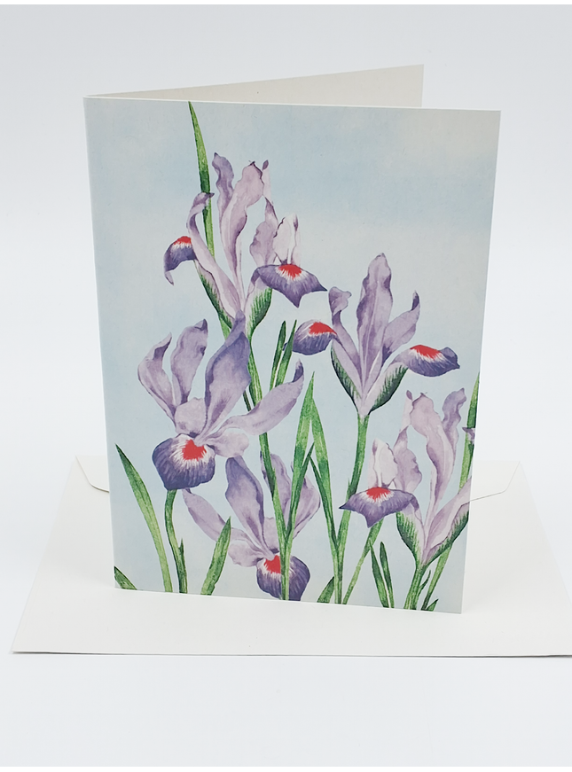 Greeting card purple red irises