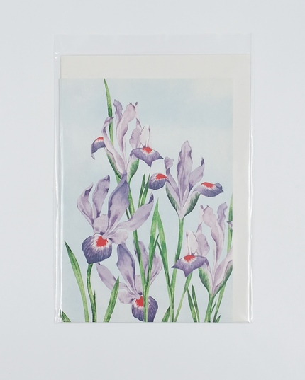 Wenskaart paars rode lissen