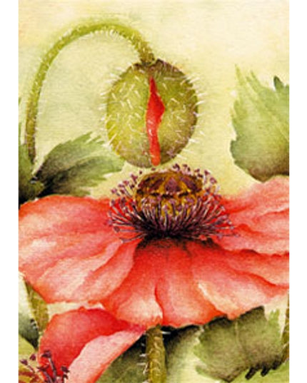 Wenskaart klaproos met knop