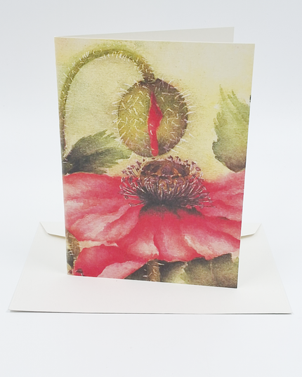 Wenskaart klaproos met knop