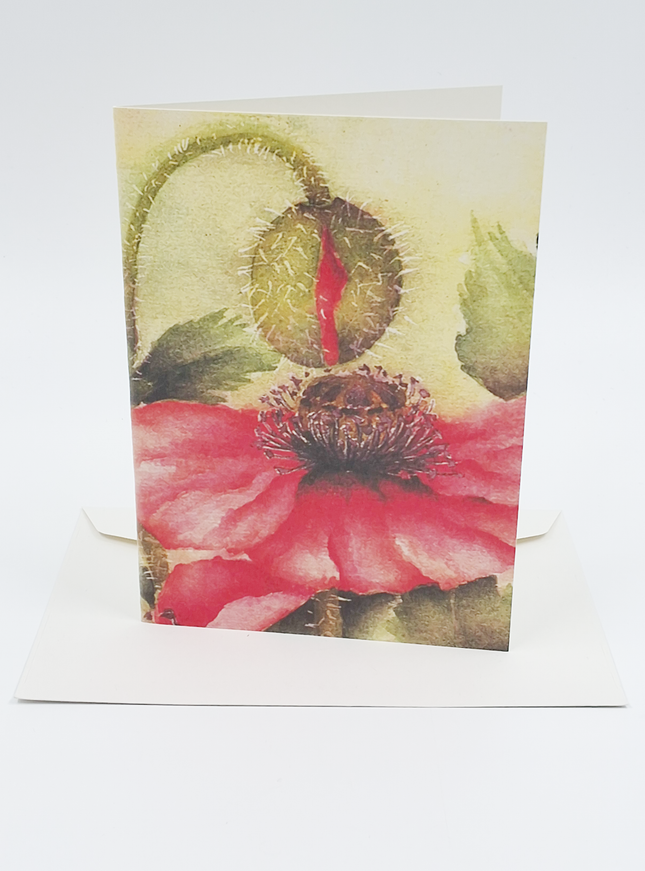 Wenskaart klaproos met knop