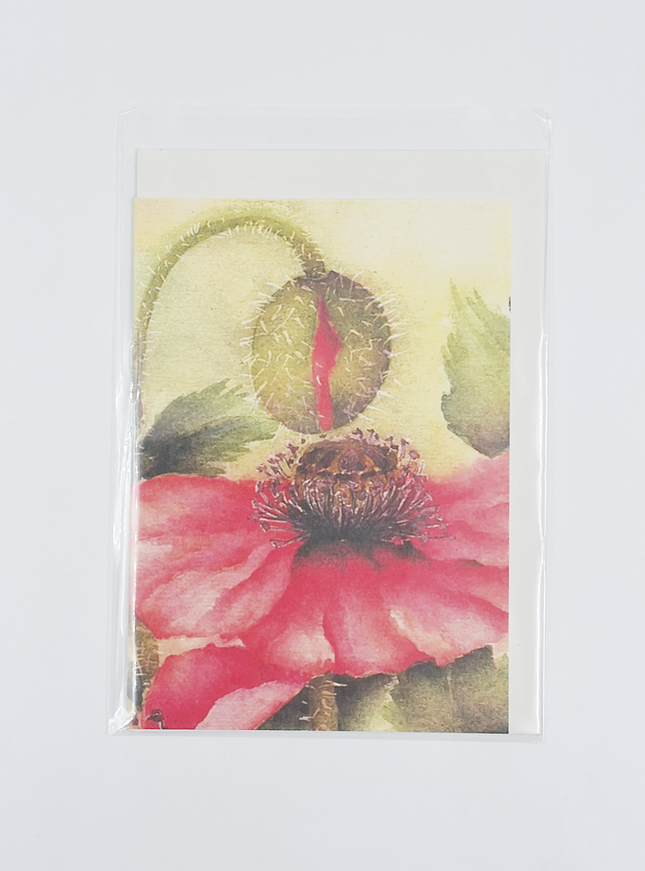 Wenskaart klaproos met knop