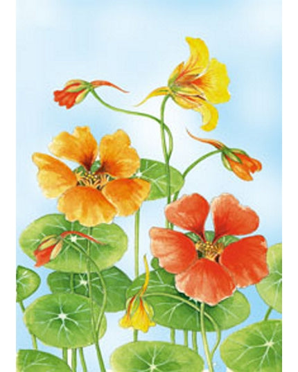 Wenskaart Oost Indische kers Froukje