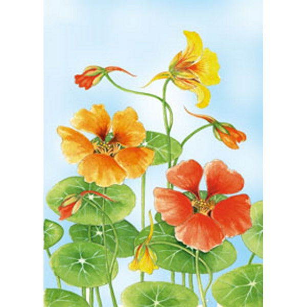 Wenskaart Oost Indische kers Froukje