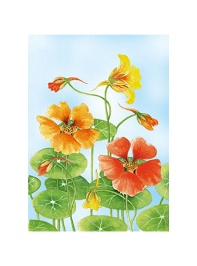 Greeting card East Indian cherry Froukje