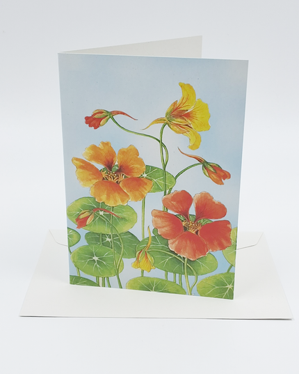 Wenskaart Oost Indische kers Froukje