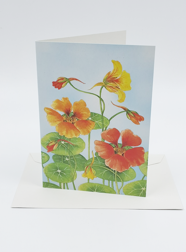 Wenskaart Oost Indische kers Froukje