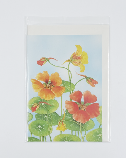 Wenskaart Oost Indische kers Froukje