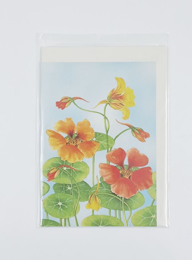 Wenskaart Oost Indische kers Froukje