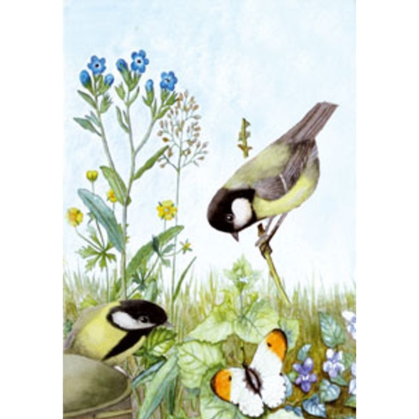 Wenskaart 2 koolmeesjes vergeetmeniet