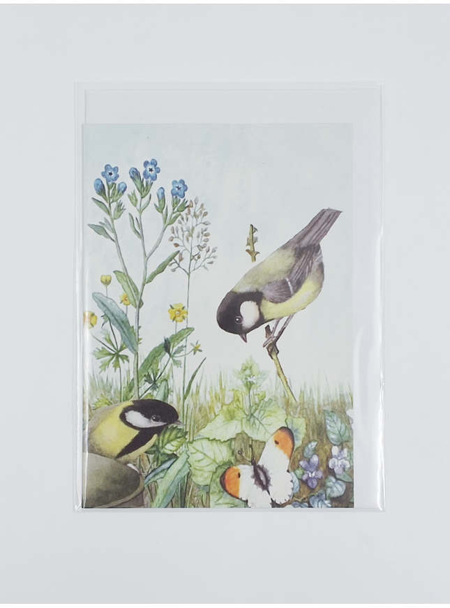 Wenskaart 2 koolmeesjes vergeetmeniet