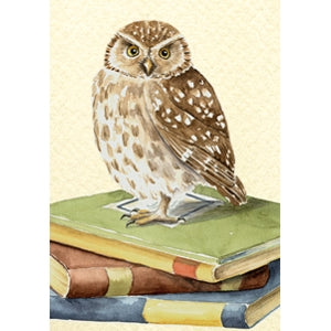 Wenskaart uil, boeken geslaagd