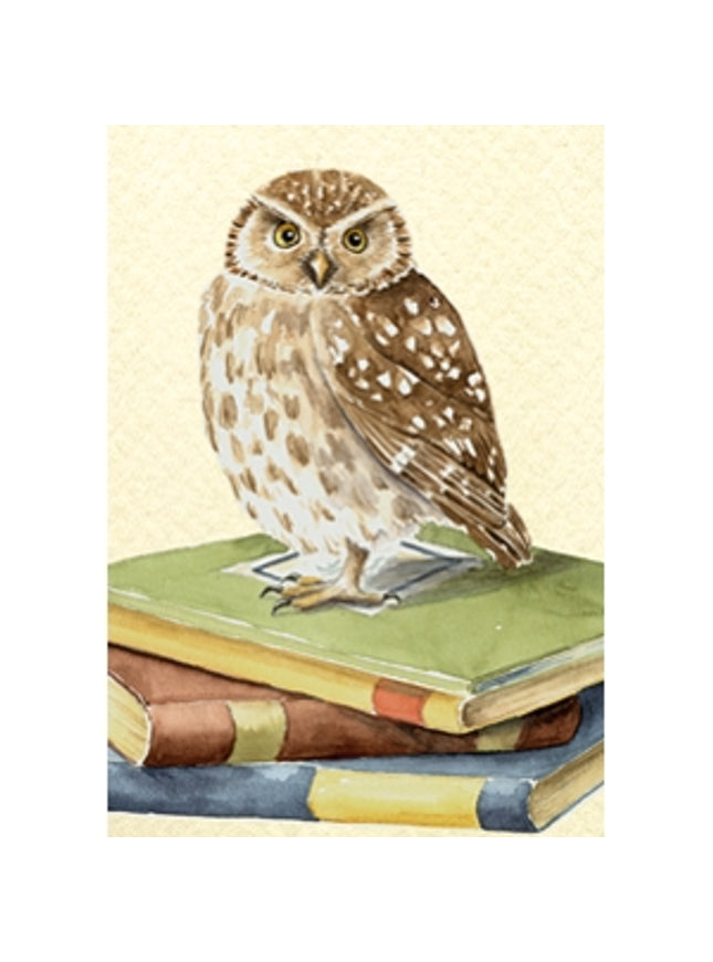 Wenskaart uil, boeken geslaagd