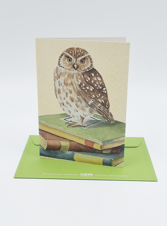 Wenskaart uil, boeken geslaagd