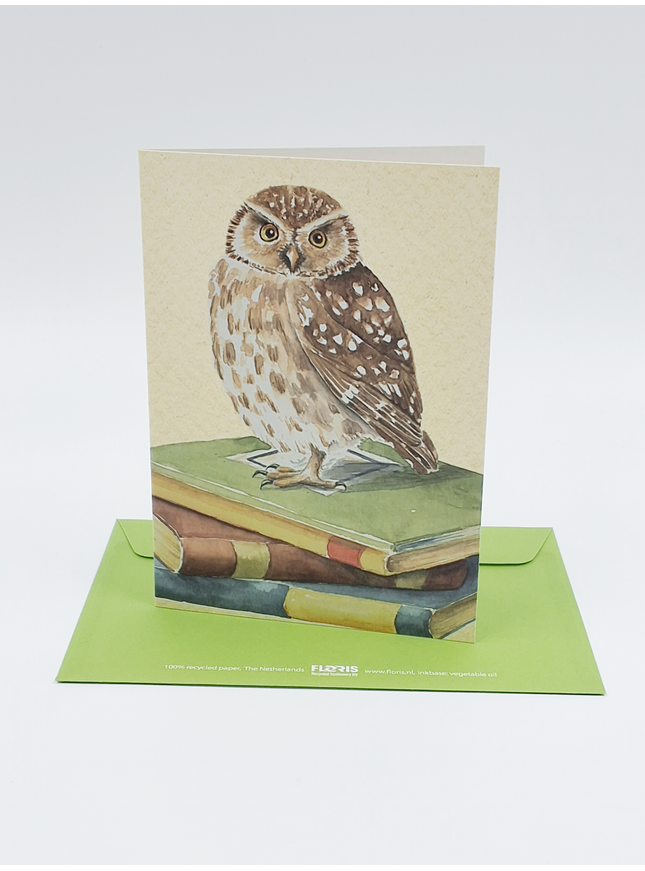 Wenskaart uil, boeken geslaagd