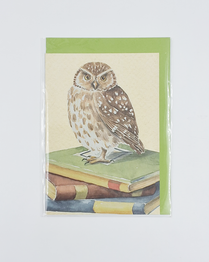 Wenskaart uil, boeken geslaagd