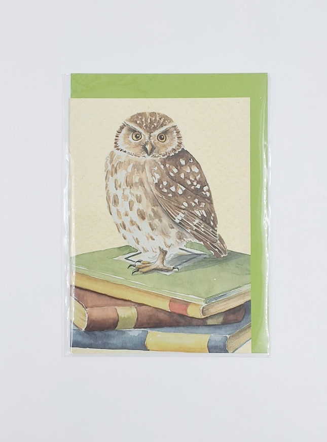 Wenskaart uil, boeken geslaagd