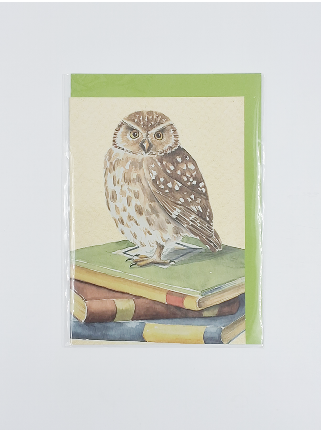 Wenskaart uil, boeken geslaagd