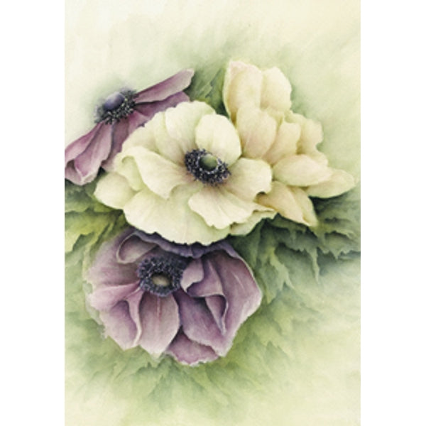 Wenskaart anemonen Muriël