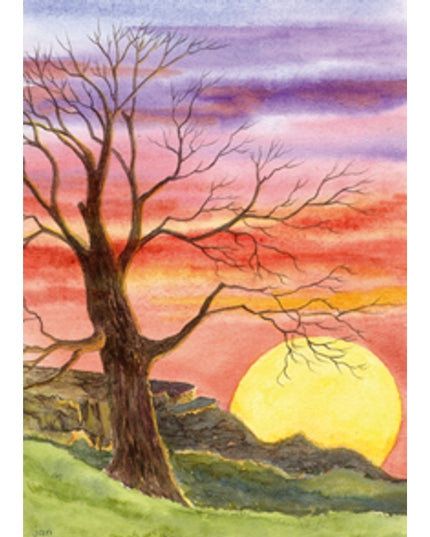 Wenskaart boom zonsondergang condoleance