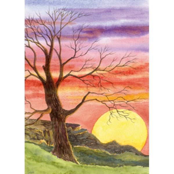 Wenskaart boom zonsondergang condoleance