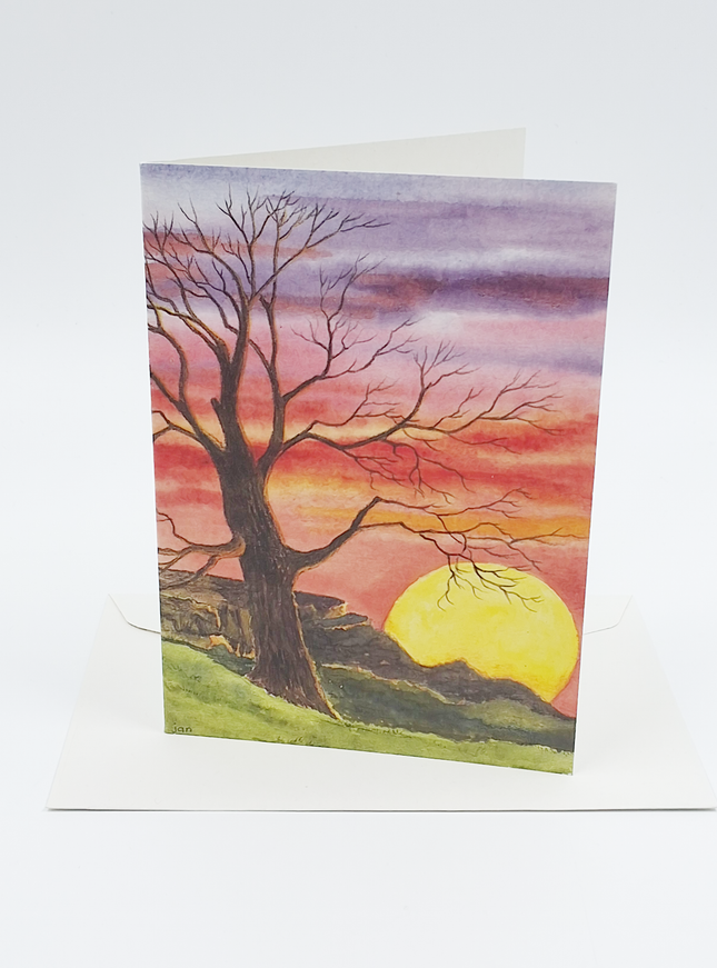 Wenskaart boom zonsondergang condoleance