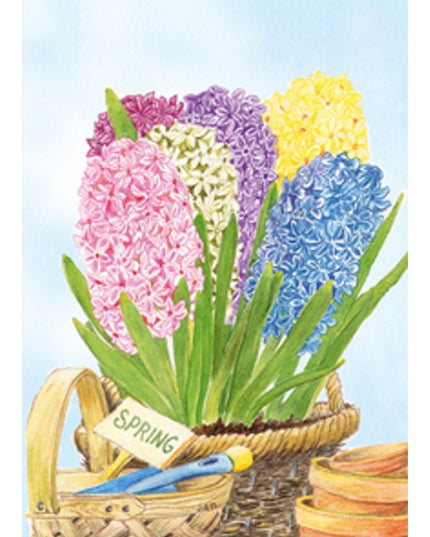 Wenskaart hyacinten in mand