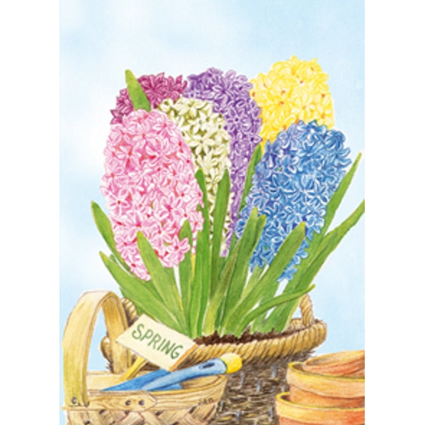 Wenskaart hyacinten in mand