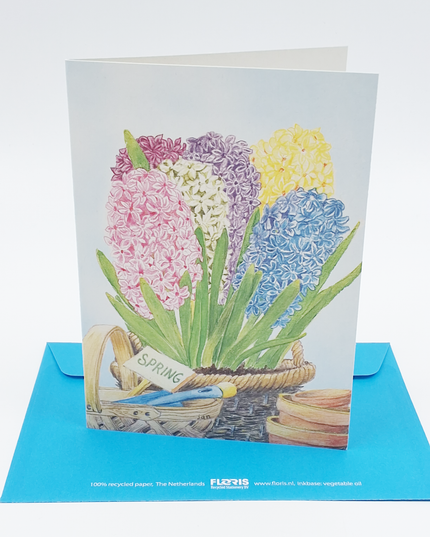 Wenskaart hyacinten in mand