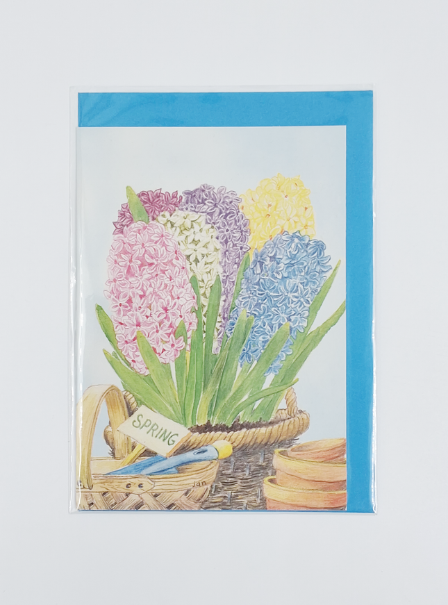 Wenskaart hyacinten in mand