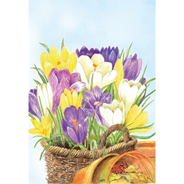 Wenskaart crocussen in mand