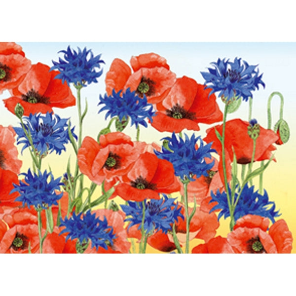 Wenskaart korenbloem klaprozen