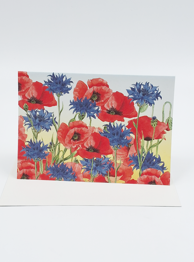 Wenskaart korenbloem klaprozen