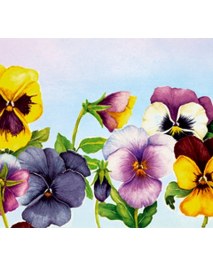 Wenskaart violen Muriël