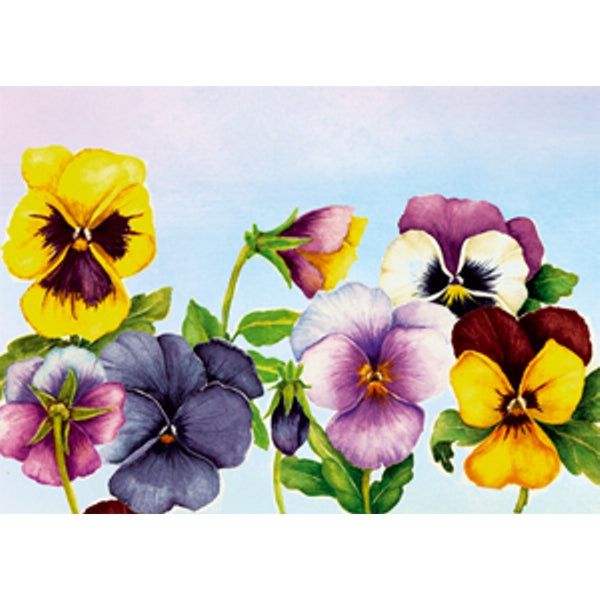 Wenskaart violen Muriël