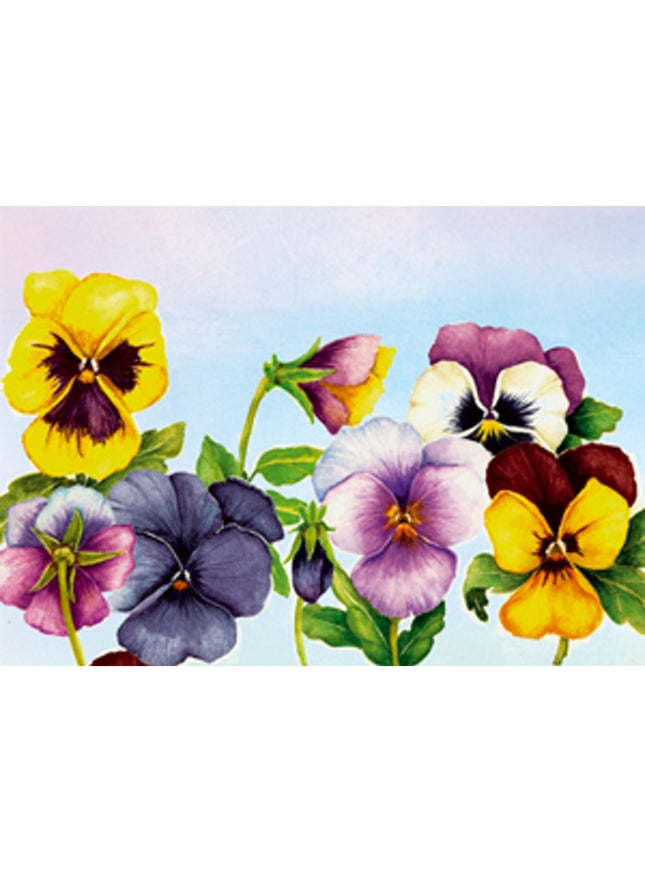 Wenskaart violen Muriël